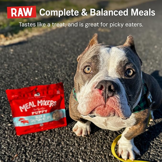 Stella & Chewy's Freeze Dried Raw Meal Mixers – Crafted for Puppies – Grain Free, Protein Rich Perfectly Puppy Beef & Salmon Recipe – 18 oz Bag