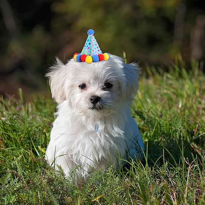 STOBAZA Dog Birthday Party Hat and Scarf Set Blue Cotton Bandana and Birthday Hat for Dogs Pet Decoration Accessories for Supplies
