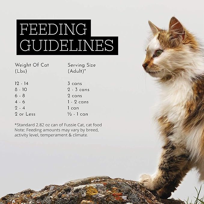Fussie Cat Super Premium Chicken & Vegetables Formula in Gravy Grain-Free Wet Cat Food 2.82oz, case of 24