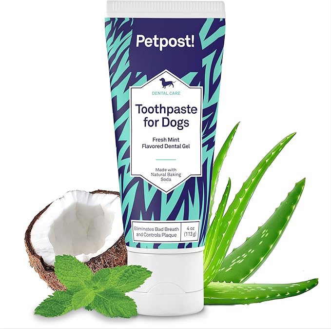 Petpost | Toothpaste for Dogs - Coconut Oil and Baking Soda Based Dental Gel That Naturally Eliminates Bad Breath - Dirt, Gunk, and Tooth Buildup Gone - Mint Flavor 4 oz.