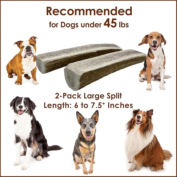 2-Pack Large Split Elk Antler Dog Chews (6 to 7.5+ in) – Natural Long-Lasting Chew for Small & Medium Dogs Under 45 lbs, Gentle Chewers, Dental Health