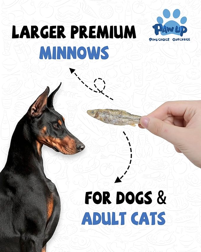 PAWUP Freeze Dried Minnows Dogs Treats – 100% Raw Single-Ingredient Pet Fish Snacks – Rich in Omega-3, Grain-Free – Healthy Training Rewards & Meal Toppers, 2.8 oz