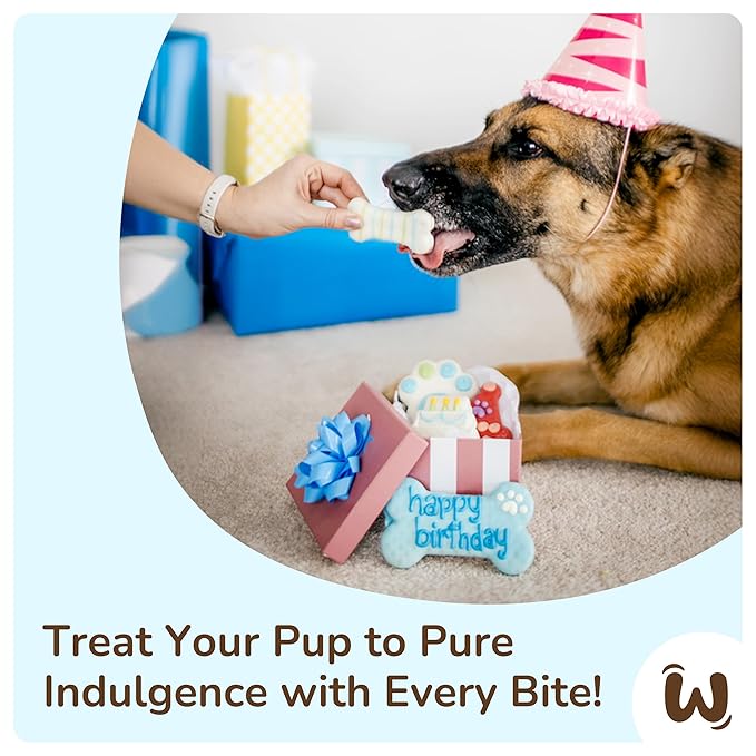 Wufers Birthday Boy Cookie Box | Gifts for Dogs | Gourmet-Decorated Treats | Made with Locally Sourced Ingredients (Blue - Birthday Boy)