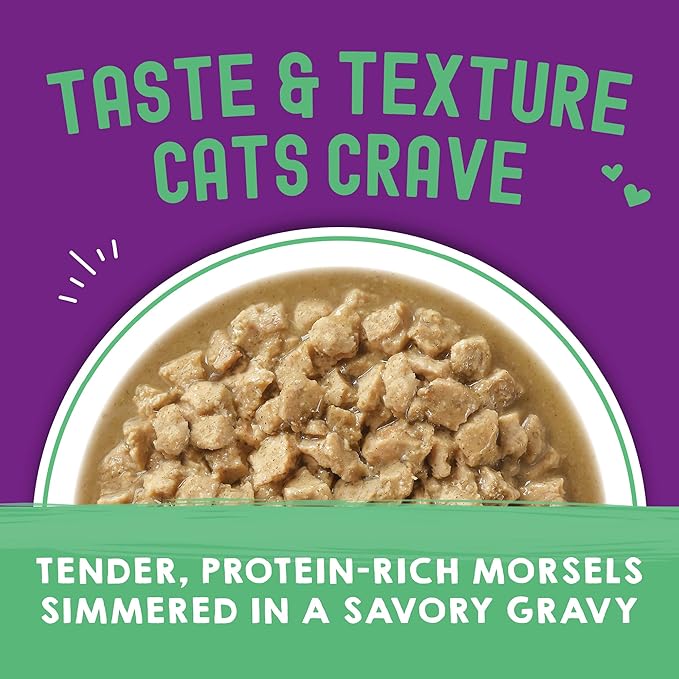 Stella & Chewy's Carnivore Cravings Wet Cat Food Pouches - Premium Salmon & Tuna Recipe - Grain-Free Morsels & Gravy - Perfect for Picky Eaters - Complete Meal or Topper - 2.8oz, 24-Pack