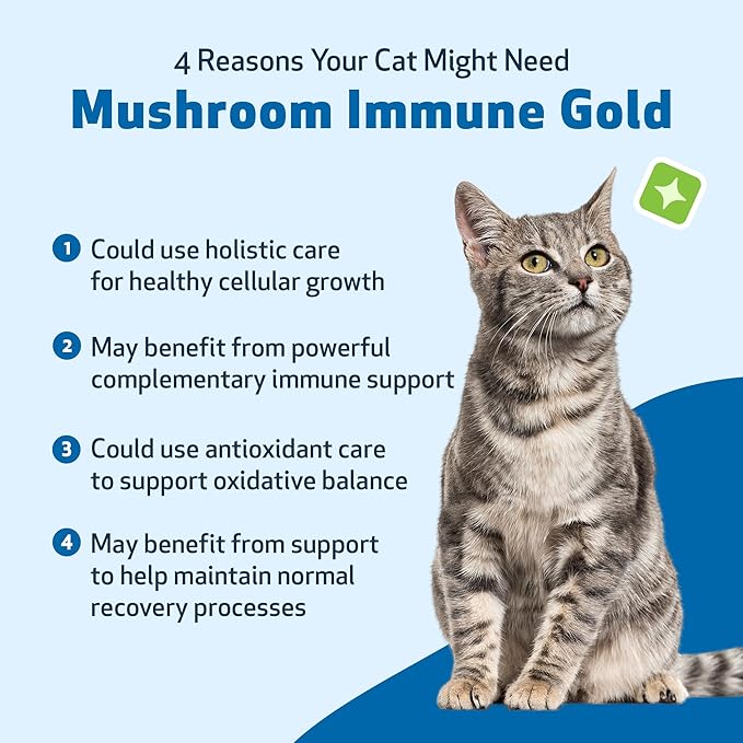 Pet Wellbeing Mushroom Immune Gold for Cats - Complementary Immune Support with Functional Mushrooms Reishi, Maitake & Turkey Tail - NASC Certified & Vet-Formulated - 8 oz Liquid Formula