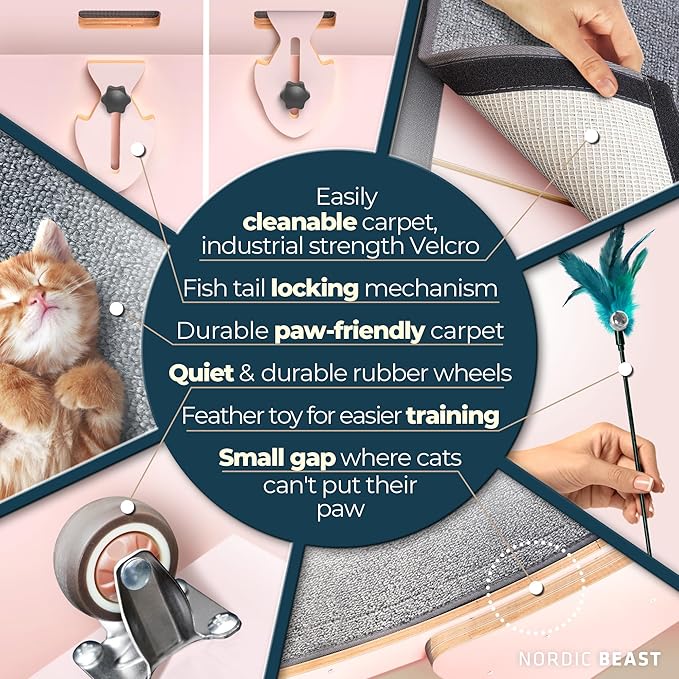 Pink 48'' XL Cat Wheel – Safe, Quiet & Stable Exercise Wheel for Large Indoor Cats up to 45 lbs – 15.7'' Extra-Wide Surface Fits 2 Cats Side by Side & Prevents Wobbling, 1-Year Warranty