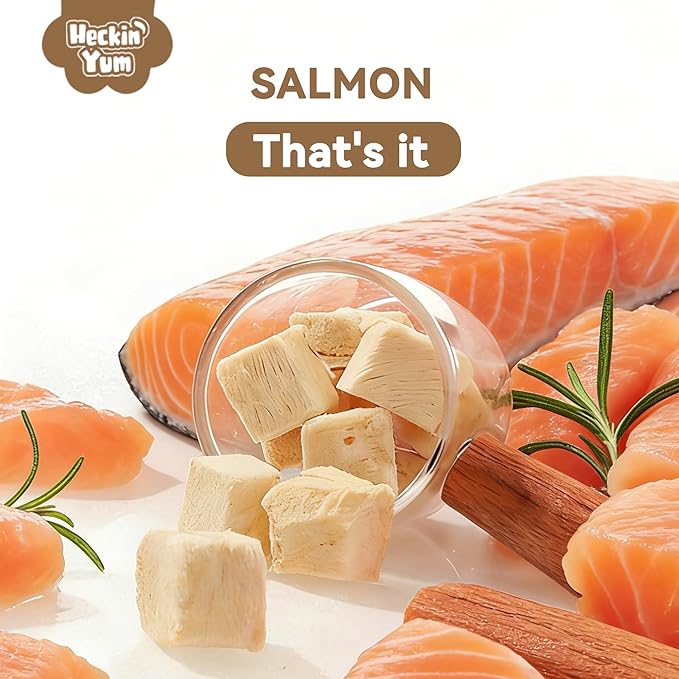 Freeze-Dried Wild-Caught Salmon Cat Treats for Skin & Coat Health, Single Ingredient High-Value Reward Snack for Cats, Grain & Gluten Free, 4 oz