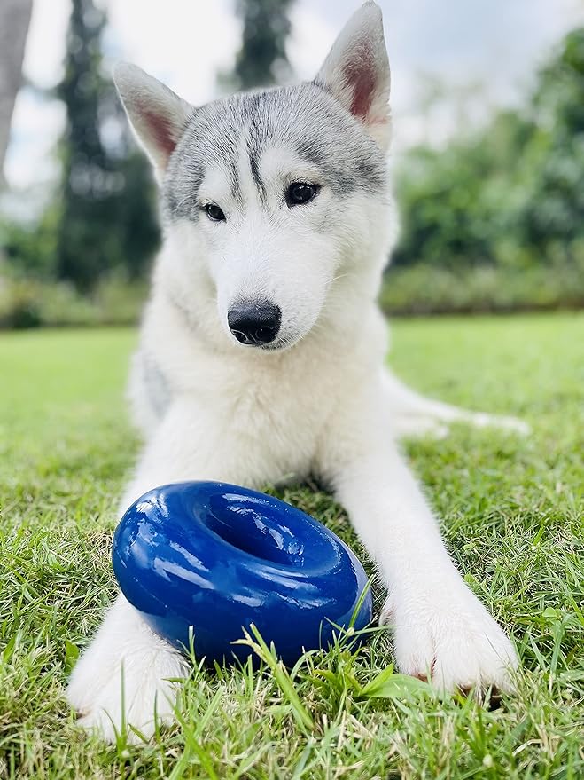 Tuff Pupper SuperChewer Tough Dog Ring Toy | Lifetime Replacement | Strong Natural Rubber | Dog Chew Toys for Aggressive Chewers | Durable Tug Toy | Ring Toys for Strong Dogs | Large Breed Tested
