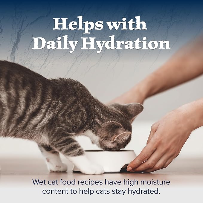 Blue Buffalo Wilderness High-Protein Grain-Free Wet Kitten Food,Chicken Paté Recipe,3-oz Cans,(Pack of 48)