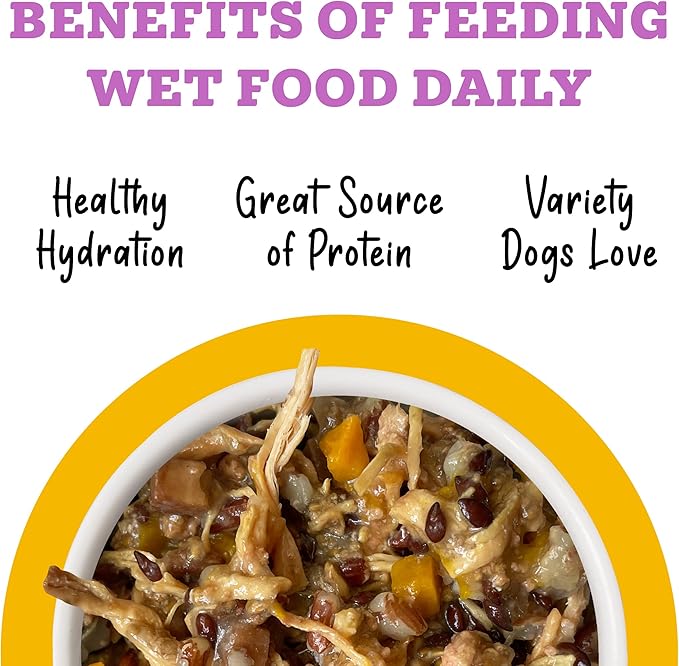 Weruva Awesome Everything Wet Dog Food, Chicken Breast and Red Rice Recipe with Pumpkin in Broth, 6oz Can, Pack of 8