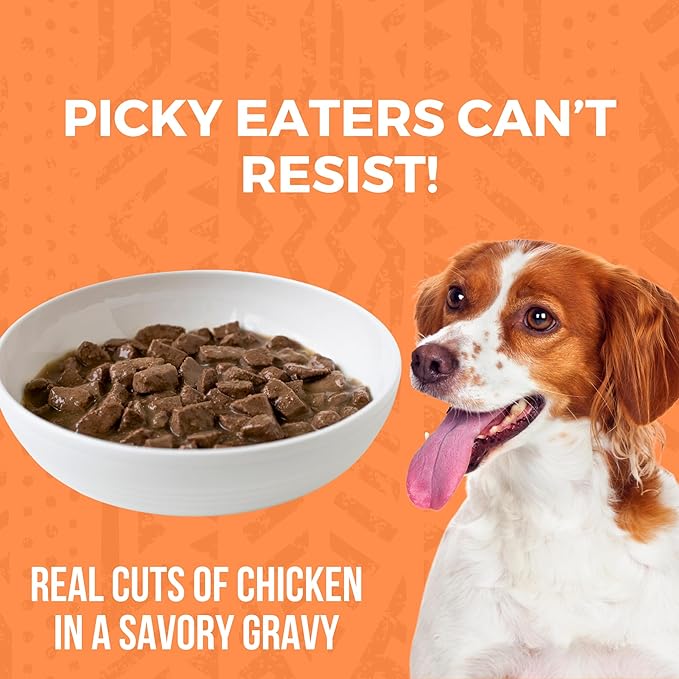 KOHA Minimal Ingredient Chicken Stew for Dogs, High Protein Limited Ingredient Dog Food, 12.7oz Cans (Case of 12)