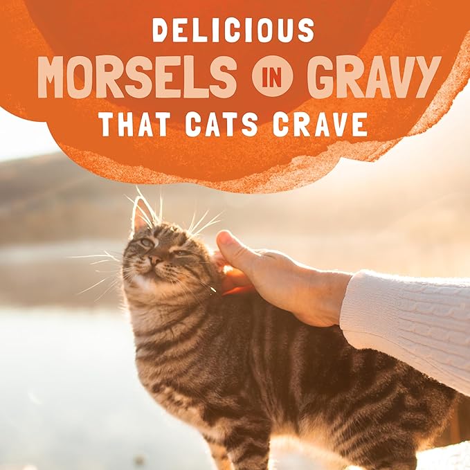 Natural Balance Original Ultra Platefulls Adult Grain-Free Wet Cat Food, Turkey, Chicken & Duck Recipe in Gravy, 3 oz (Pack of 24)