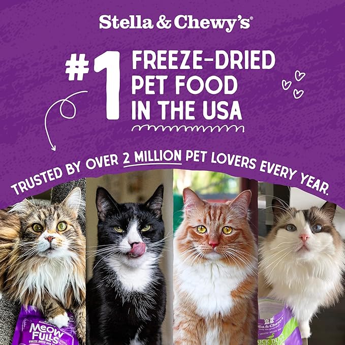 Stella & Chewy's Freeze-Dried Raw Cat Dinner Morsels - Premium Chicken Recipe with 98% Cage-Free Meat & Organs - Natural Grain-Free Cat & Kitten Food - Made in USA - 1 oz (Pack of 2)