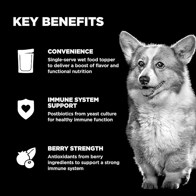 Go! Solutions Booster Immune Health Shredded Chicken + Salmon in Broth Gravy Topper for Dry Food, Real Meat Wet Dog Treat for Healthy Immunity in Puppies, Adults, & Seniors, 2.8 oz Pouch (12 Pack)