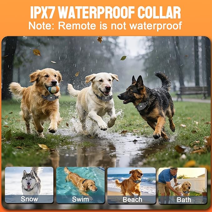 2-in-1 Dog Training Collar & Bark Collar, Safety Lock Remote, Adjustable Beep,Vibration & Shock,990ft Range, IPX7 Waterproof Dog Collar for 3 Dogs,Medium & Large,LED Light,Compass & Carabiner-1 Collar