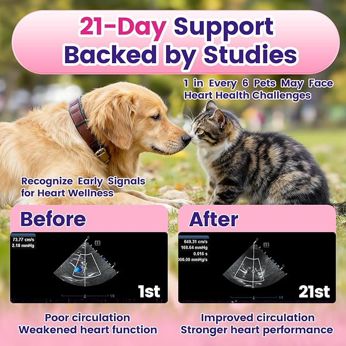 Taurine for Cats & Dogs with CoQ10 - Heart Supplement Powder Support Heart, Vision and Immune System Health - 120 Capsules