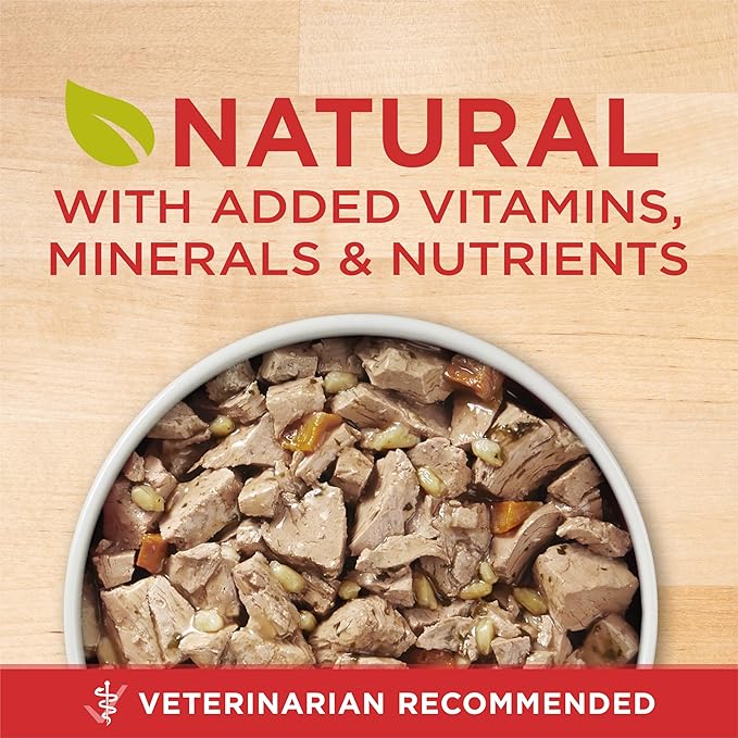 Purina ONE Tender Cuts Brain & Heart Chicken & Brown Rice Wet Dog Food - 13 oz. Can