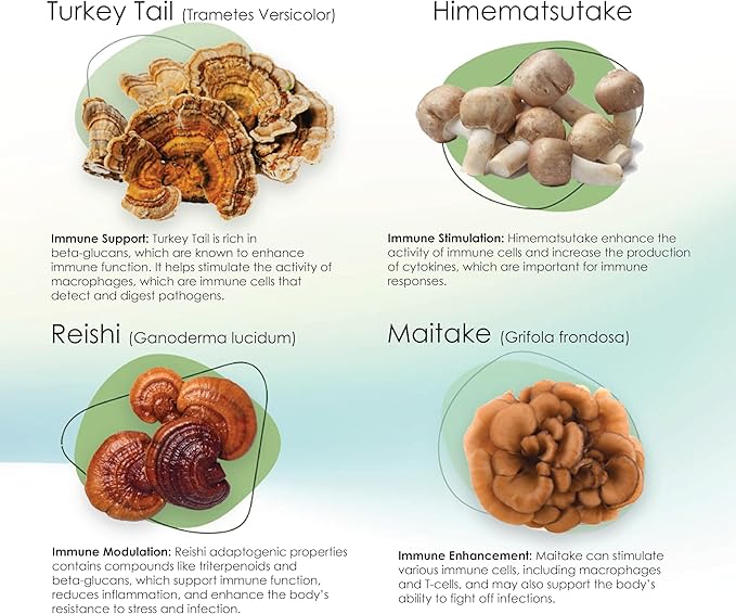 Mycogen Soft Chew for Dogs - 8 Species Mushroom Blend for Critical Immune System Support- Turkey Tail, Reishi, Shiitake, Cordyceps, Black Tree Fungus-120 Tasty Soft Chews