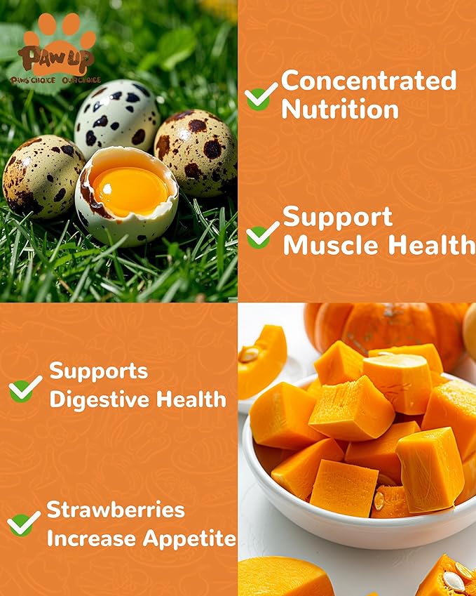 PAWUP Freeze Dried Cat & Dog Treats, Natural Quail Egg Yolk, High Fiber Pumpkin Added, High-Protein Pet Snacks for Coat & Gut Health, 3.5 oz