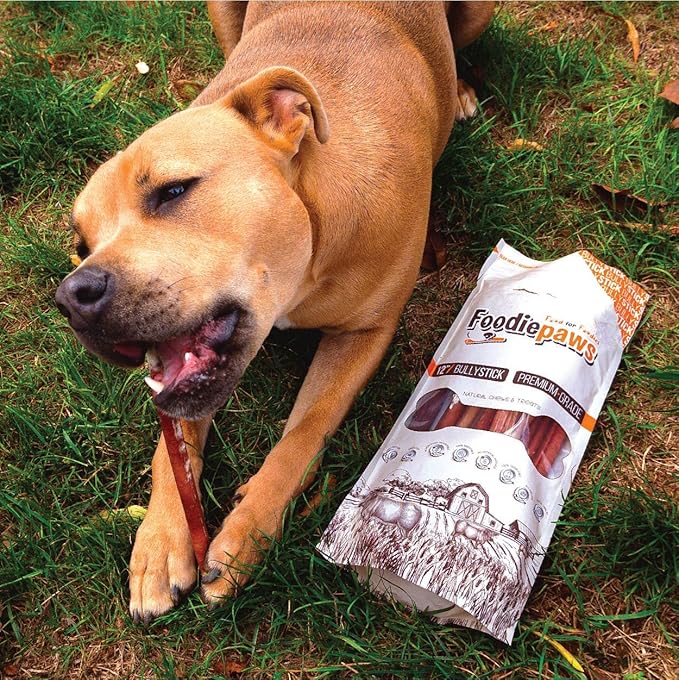 FOODIEPAWS 6 Inch Jumbo Bully Sticks for Dogs, 15 Pack | High Protein, All Natural Grass-Fed Beef Chews | Rawhide-Free, Fully Digestible & Long Lasting Treats | Perfect for Large Dogs