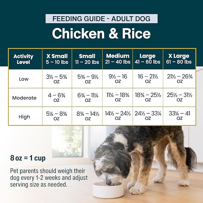 JustFoodForDogs Frozen Fresh Dog Food, Complete Meal or Topper, Chicken & White Rice Human Grade Dog Food Recipe, 18 oz (Pack of 14)