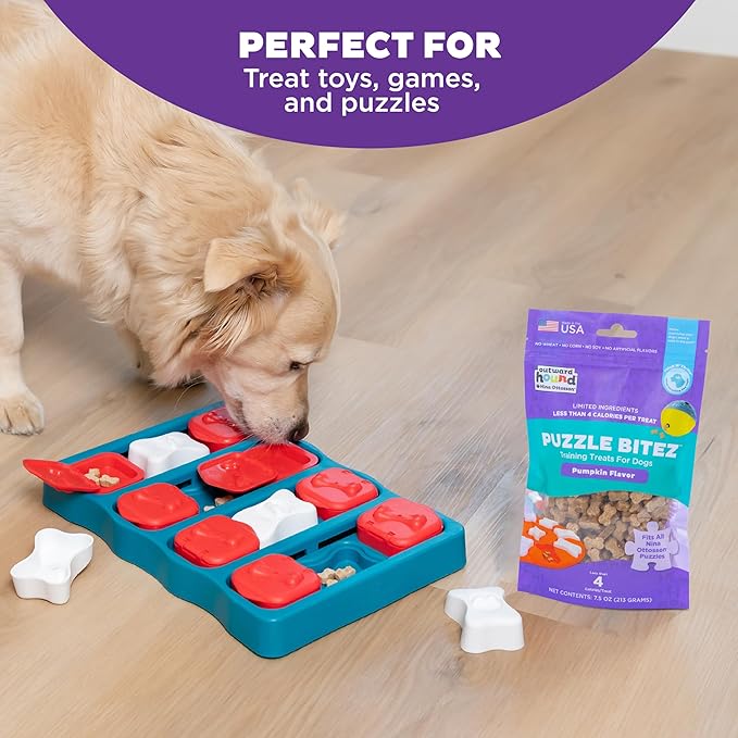 Outward Hound by Nina Ottosson Puzzle Bitez USA Made Dog Treats, Pumpkin Flavor, Bite-Sized Training Reward and Interactive Puzzle Toy Treats, 7.5oz