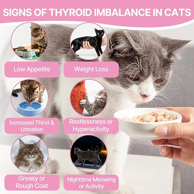 Thyroid Support for Cats, Natural Cat Appetite Stimulant & Cat Weight Gainer Drops – Helps Support Metabolism, Energy & Weight Gain for Cats – Vet-Formulated Herbal Liquid Supplement, 2 fl oz