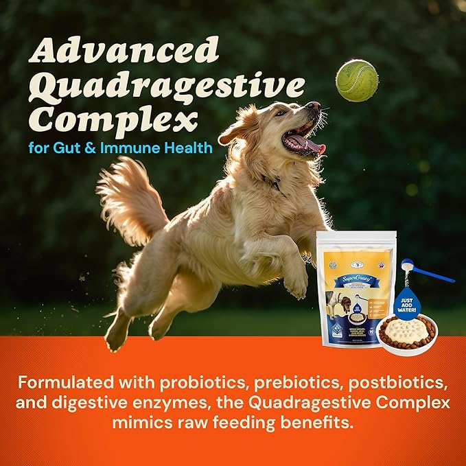 CLEAR CONSCIENCE PET® Arfredo™ SuperGravy® Natural Dog Food Gravy Topper, Hydration Broth Mix, Gluten and Grain Free Kibble Seasoning Powder Topper for Picky Eaters (13.5 oz. (90 Scoop))