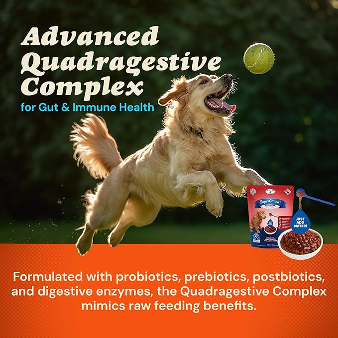 CLEAR CONSCIENCE PET® Barkinara™ SuperGravy® Natural Dog Food Gravy Topper, Hydration Broth Mix, Gluten and Grain Free Kibble Seasoning Powder Topper for Picky Eaters (9 oz. (60 Scoop))
