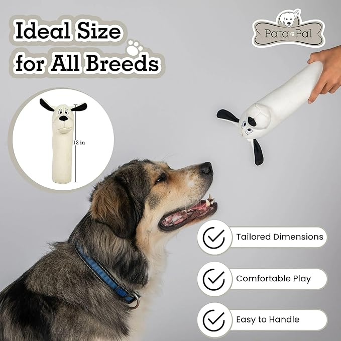 2-Pack Eco-Friendly Durable Squeaky Dog Toys – Cotton Canvas Interactive Chew Toy Set – Ducky & Dawgy (White)