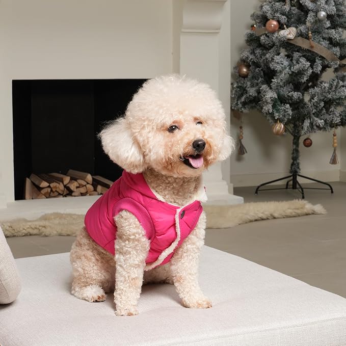 Fleece Lining Extra Warm Dog Hoodie in Winter,Small Dog Jacket Puppy Coats with Hooded Pink XS
