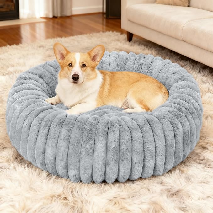Washable Small Cat Dog Bed,Calming Anti Anxiety Round Donut Dog Bed,Fluffy Puppy Dog Beds for Medium Small Dogs,Cute Kitten Cat Beds for Indoor Cats,Comfort Pet Bed for Medium Size Dogs(Grey,M)