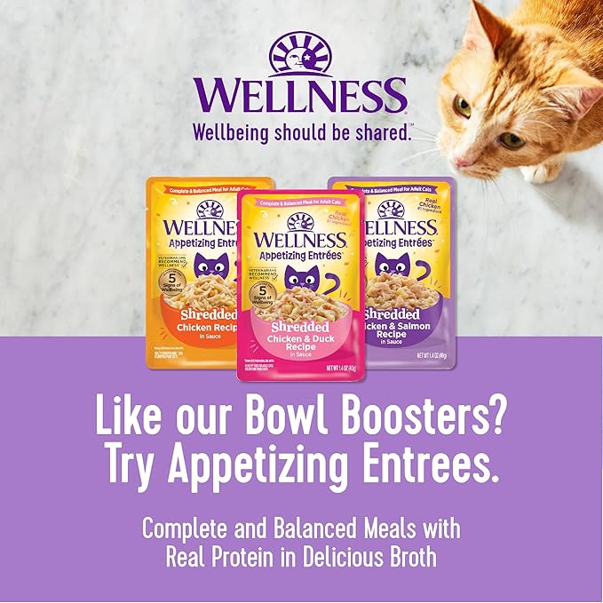 Wellness Bowl Boosters Wet Cat Food Topper, Grain Free, Natural, Shredded Chicken Recipe in Broth, 1.75 Ounce Pouch (Pack of 12)