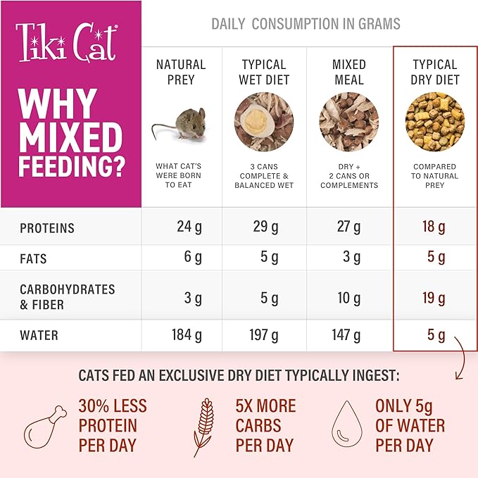 Tiki Cat Born Carnivore Broths, Duck & Chicken Recipe, Hydration and Flavor Supplement Cat Food Topper, 1.3 oz. Pouch (12 Count)