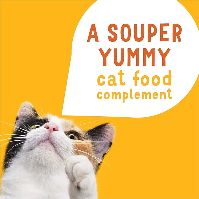 Purina Friskies Grain Free Wet Cat Food Complement Variety Pack, Lil' Soups Salmon, Tuna, Chicken & Shrimp - (30) 1.2 oz. Cups
