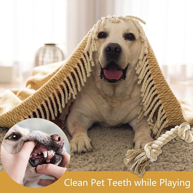 PetiFine Dog Rope Toys for Aggressive Chewers, Heavy Duty Cotton Chew Toys for Large Medium Dogs- 3 Feet 5 Knots Tough Interactive Tug of War Dog Pull Rope, Teeth Cleaning