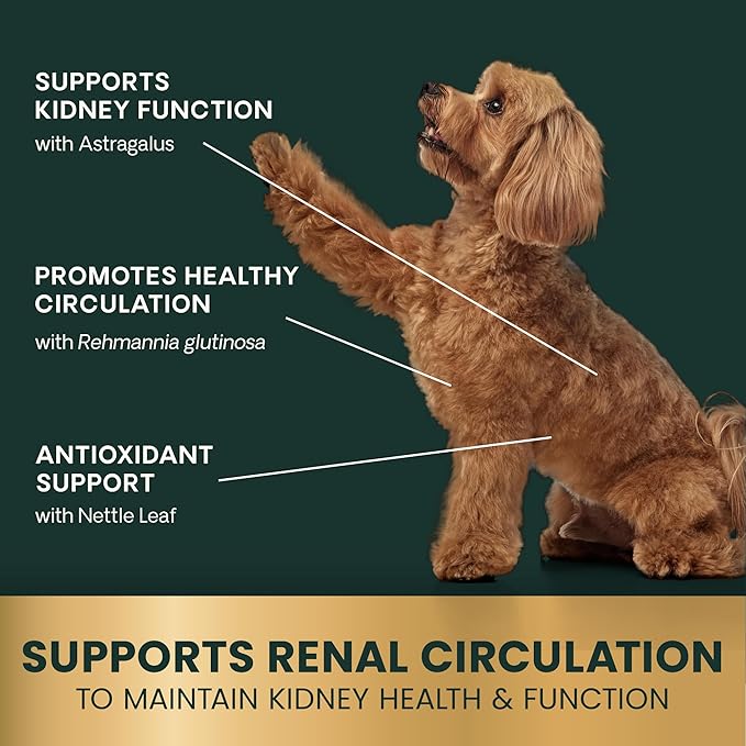 VetriScience Kidney Health Chewable Tablets, Renal Essentials Supplement for Dogs, Urinary Tract and Kidney Support with Mushroom, Astragalus Root, Nettle Seed and Herbs, Smoke, 60 Count
