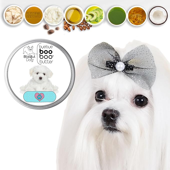 The Blissful Dog 4 oz Tin Maltese Booboo Butter
