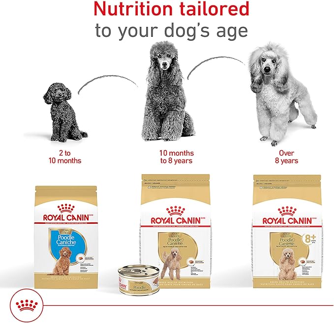 Royal Canin Breed Health Nutrition Poodle Adult Loaf in Sauce Dog Food, 3 oz (Pack of 6)