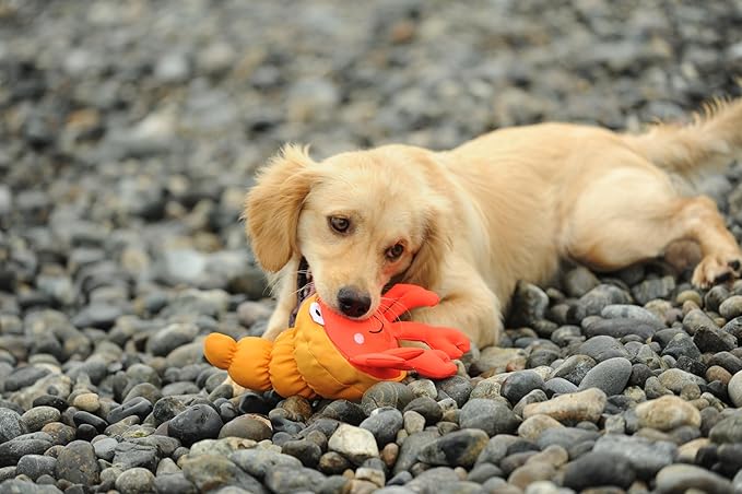 Dog Toy, Squeaky Plush Dog Toy, Rough & Tough Interactive Pet Toy, Recycled Fabric and Double Stitched (Pagurian)