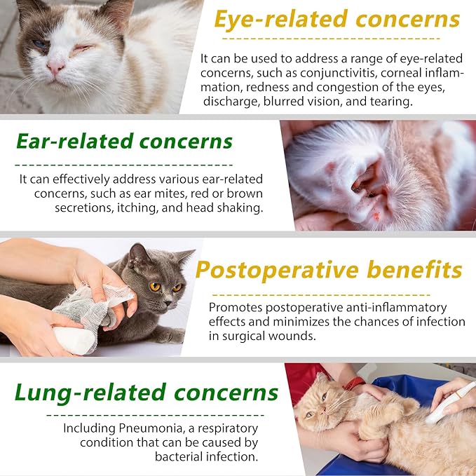 Cat Antibiotics for Infection, Natural Antibiotics for Cats, Cat Multivitamins Liquid, Cat Antibiotic Supports Immune and Cats Allergy Itch Relief, Pet Antibiotics Supplements, Chicken Flavor, 2 Fl Oz
