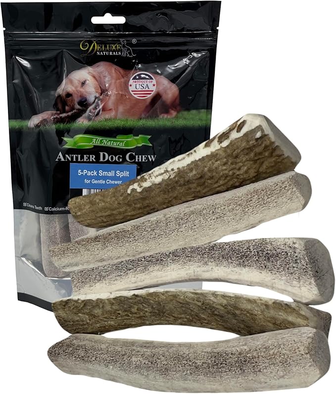 5-Pack Small Split Elk Antler Dog Chews (5 to 6.5+ in) – All Natural, Premium Grade A, Odor-Free, USA-Sourced – Long-Lasting Dental Treats for Toy and Small Dogs Under 15 lbs