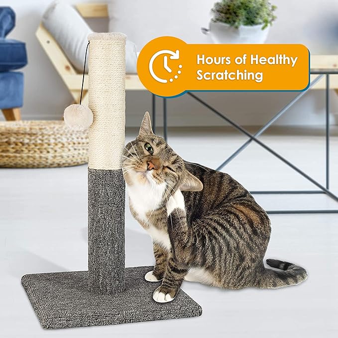 Pawbee 20" Cat Scratching Post with Hanging Ball, Modern Sisal Rope Pole, Scratcher Tower for Indoor Kitten