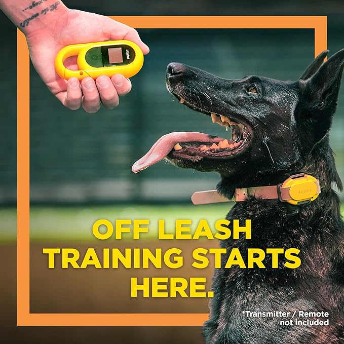 CUE Add On Black Ecollar with Safety Level Lock Boost Vibration Waterproof Rechargeable for Small Medium Large Dogs Dog Training Collar by Dogtra