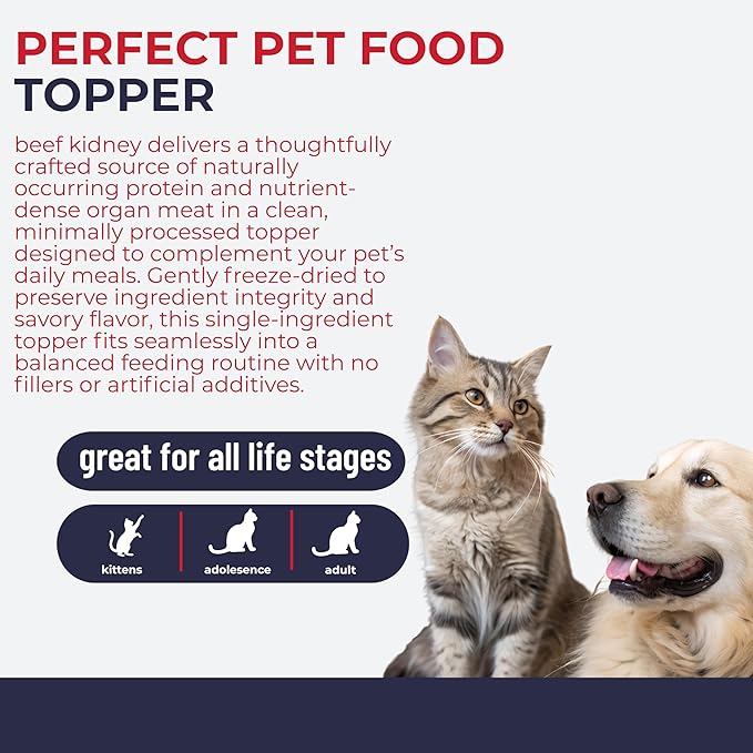 Momentum Carnivore Nutrition Freeze-Dried Beef Kidney Pet Food Topper – Single-Ingredient, All-Natural Topper – High-Protein for Dogs and Cats, Grain-Free and Made in The USA– (3.75 oz Bag)