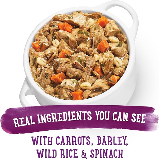 Beneful Purina Gravy Wet Dog Food, Prepared Meals Simmered Beef Entree - (8) 10 oz. Tubs (Pack of 2)