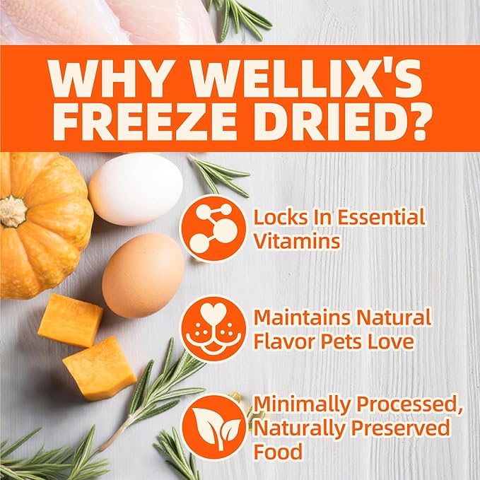 Wellix Chicken & Pumpkin Raw Treat – Freeze Dried Chicken Snacks, Pet Food Topper, Grain Free, Crunchy Cat Treats for Indoor Cats - for Small, Medium & Large Cats & Dogs - 4.59 oz