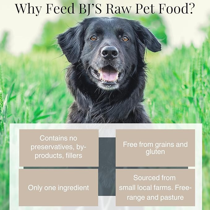 BJ'S RAW PET FOOD Freeze Dried Beef Heart Treats | High-Protein Pet Topper & Snack | Made in USA, 4-Ounce