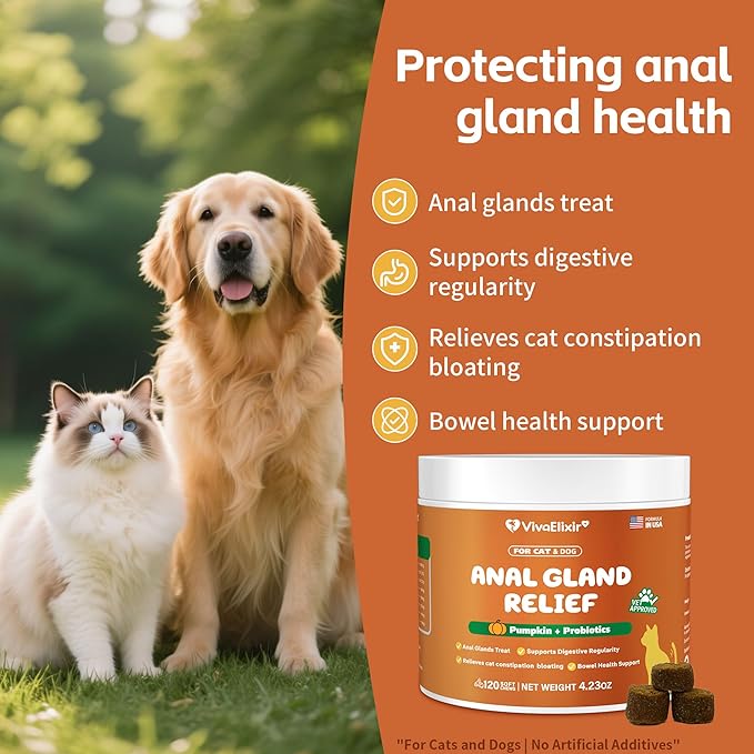 Constipated Cat - Pumpkin + Probiotic Soft Chews - Promotes Digestive Health, Regular Bowel Movements, and Intestinal Balance | Veterinarian-Approved, 120 Chewable Tablets