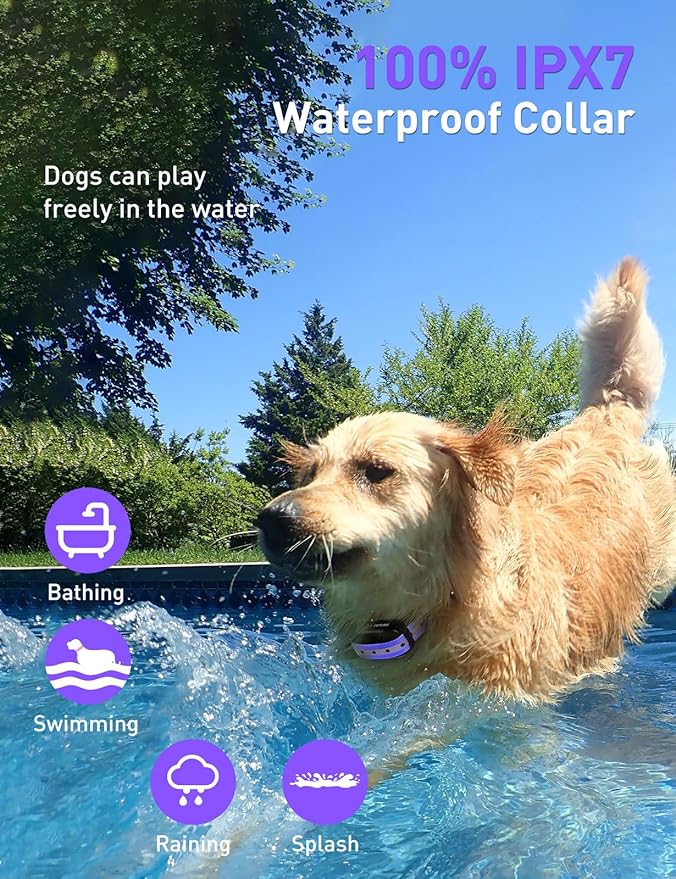 Dog Shock Collar 2 Dogs (10-120lbs) - 3300Ft Dog Training Collar with Beep, Vibration & Shock, IPX7 Waterproof Rechargeable Dog Shock Collars for Small Medium Large Dogs, Security Lock, Purple